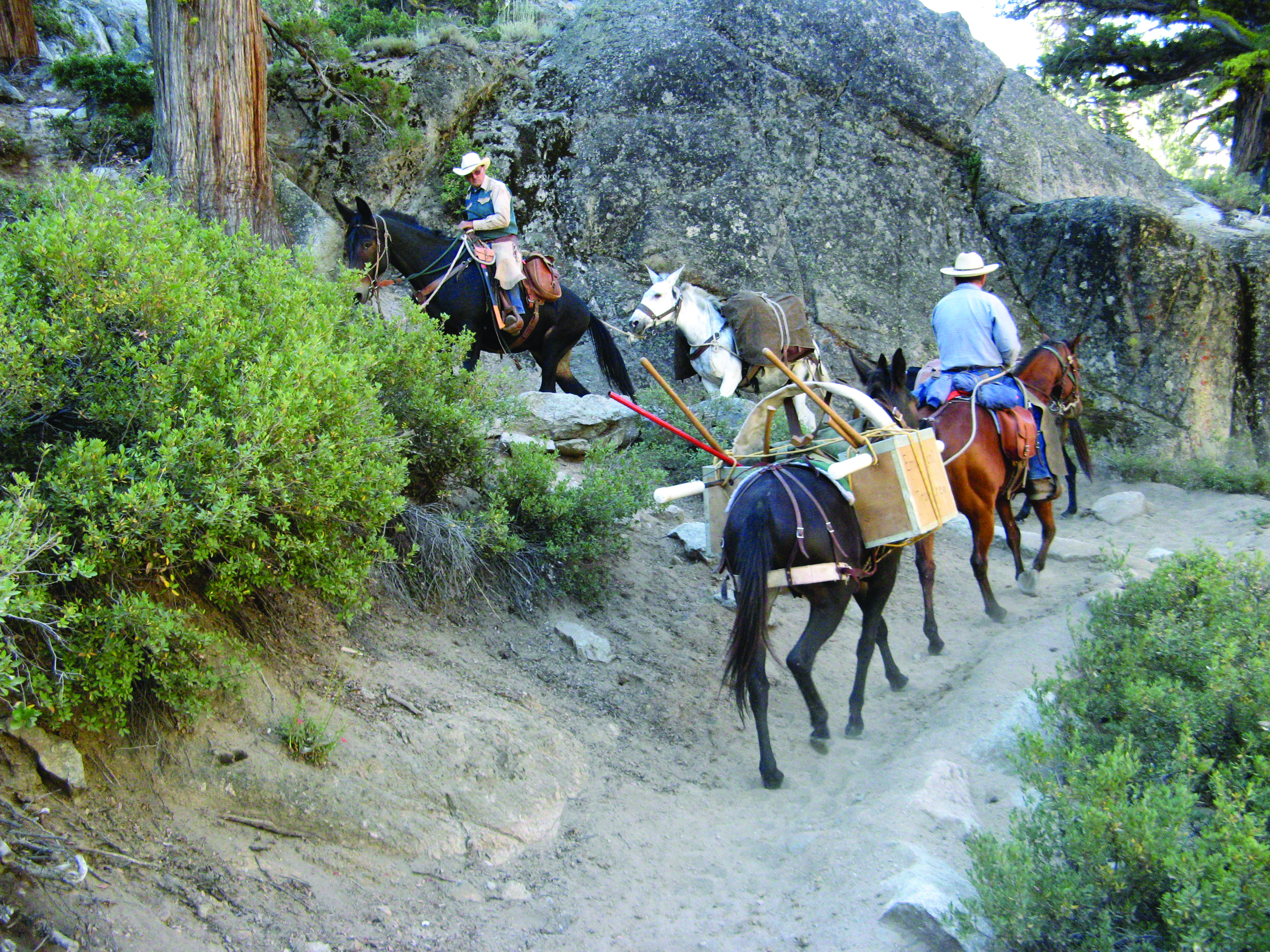 Header Image of BCHC Members on a Trail.