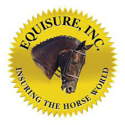 Equisure, Inc. Logo.