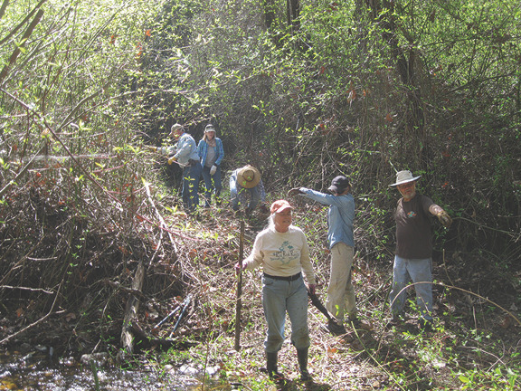 People walking in the forest.