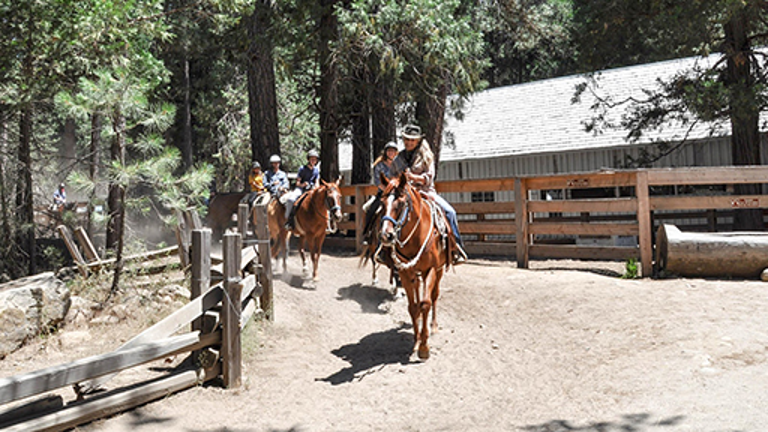 Horse packing.