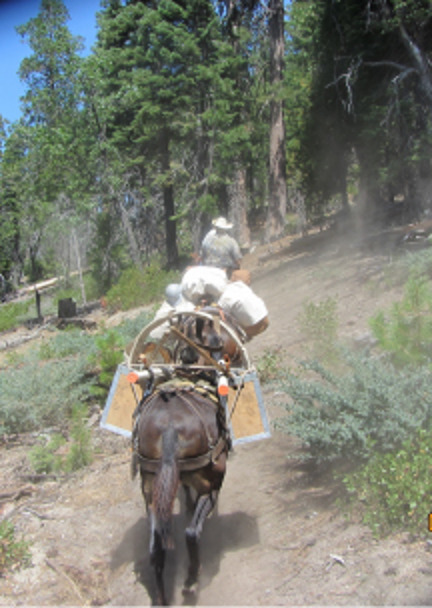 Horse packing.